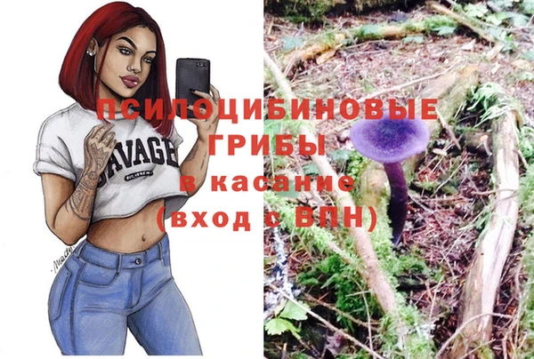 apvp Алзамай
