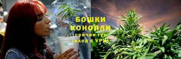 ПСИЛОЦИБИНОВЫЕ ГРИБЫ Абдулино
