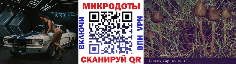 купить Новочеркасск Галлюциногенные грибы Psilocybine cubensis